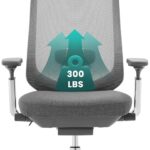 COLAMY Ergonomic Mesh Office Chair, High Back Office Chair, Computer Executive Desk Chair with Lumbar Support,Adjustable Headrest and 4D Arms, Slide Seat